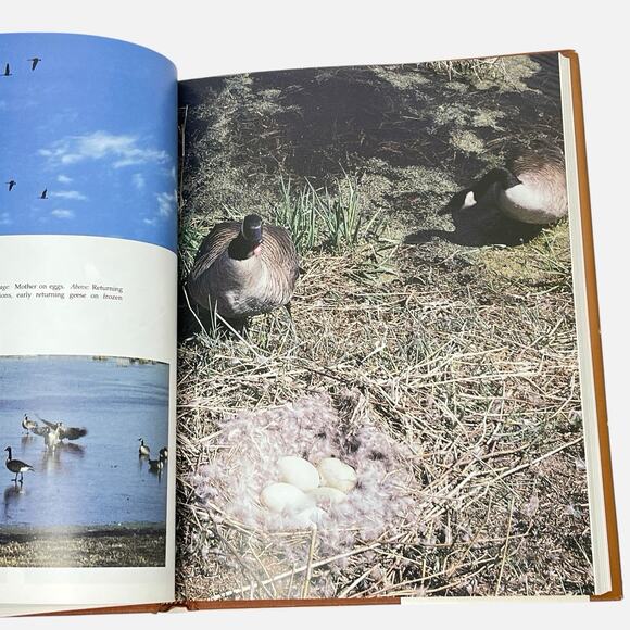 Vintage Hardcover Through Minnesotas Seasons With Jim Gilbert 1987 Essays Photos - Picture 6 of 10